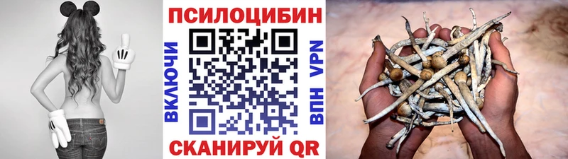 мориарти как зайти Орск Галлюциногенные грибы GOLDEN TEACHER где купить наркоту